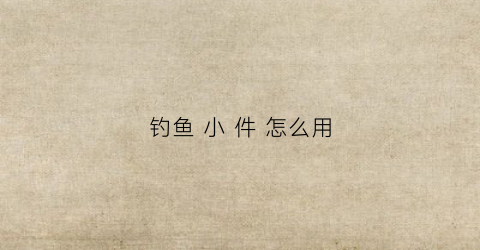 钓鱼小件怎么用(钓鱼小件大全)